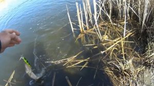 Рыбалка . Канал в Дугино Ростовская область 7 апреля 2018