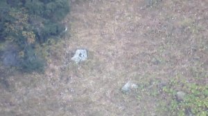 Охота на марала в Казахстане. Сезон охоты на самца марала в Алматинской области в ОХ "Дардамты".