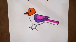 How To Draw A Bird || Step By Step || Drawing & Coloring For Kids