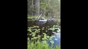 Рыбалка в Карелии.отцепляем зацепы