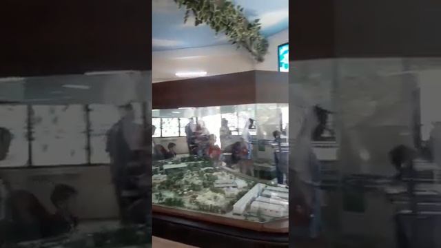 Ташкент. Зоопарк. Узбекистан #ташкент #узбекистан #tashkent #uzbekistan #shorts #zoopark смотреть онлайн