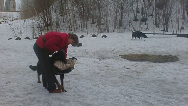 ВЕО Витязь Черноокий Атаман Работа с фигурантом Кузиным Андреем смотреть онлайн