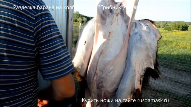 Разделка барана на колбасу. Нож "Грибник", ручная ковка из стали У8 смотреть онлайн