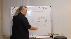 женская логика наконец раскрыта!