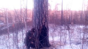 Штиль -170