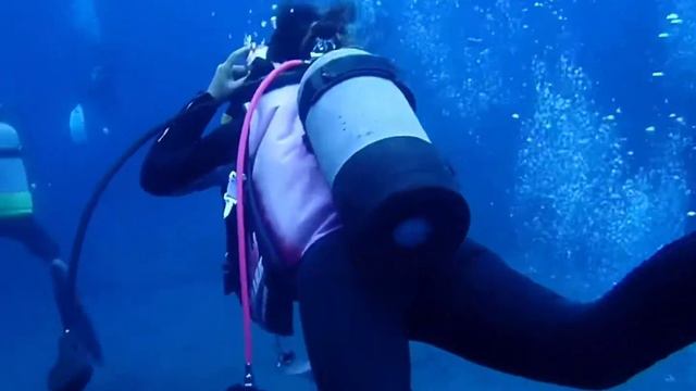 【与那国島】海底遺跡でダイビング