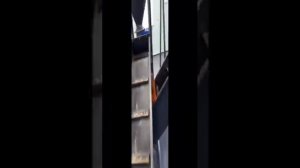 4. Переработка продовольственного сырья растительного происхождения