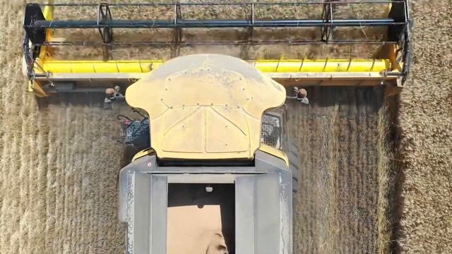 УБОРКА УРОЖАЯ 2020 / Фермерское хозяйство Полька / АЭРОСЪЁМКА смотреть онлайн