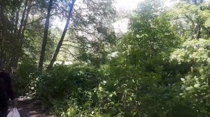 УСАДЬБА БОГОСЛОВКА И НЕВСКИЙ ЛЕСОПАРК | ПРОГУЛКИ В ЛЕНОБЛАСТИ