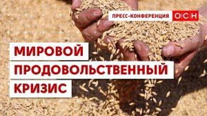 Мировой продовольственный кризис