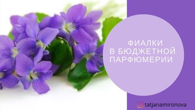Смотреть видео онлайн