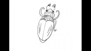 Рисуем жука