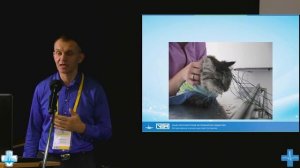 Судороги у собак и кошек