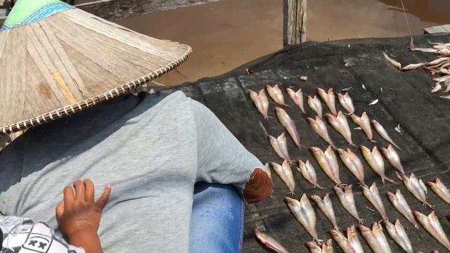 Fishing Village at Lake Danau Sentarum | West Kalimantan, Indonesian Borneo смотреть онлайн