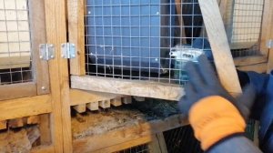 Знакомство с крольчатником