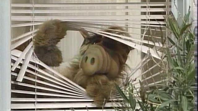 Альф Сезон 1 Серия 16-17 - Попробуй вспо... смотреть онлайн