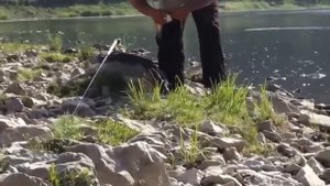 Ловля головля