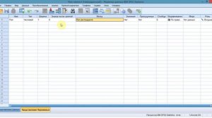 Часть I. Знакомство с SPSS