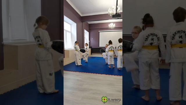 Аттестация на белые, жёлто-зелёные и зелёные пояса