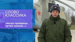 Участник СВО. "Когда пройдешь путем колонн..." Слово классика