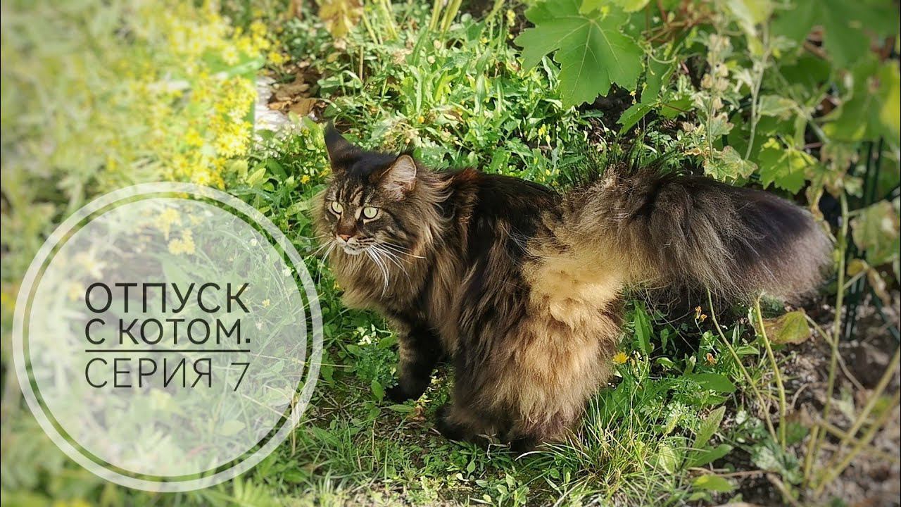 Серия 7. Главный собор Вольска, и наши приключения