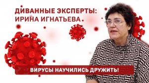 ДИВАННЫЕ ЭКСПЕРТЫ: ИРИНА ИГНАТЬЕВА/ВИРУСЫ НАУЧИЛИСЬ ДРУЖИТЬ!