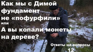 А вы копали монеты на дереве. Ответы на вопросы №12