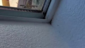 Новости Смибочка ТВ 13:00 5 Мая 2024