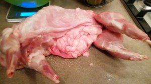 Ожирение у кроликов, есть ли смысл с ним бороться????