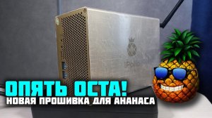 Снова майним окту на ipollo v1 mini. Новая прошивка, доход в моменте.
