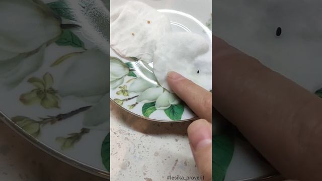 Катарантус из семян