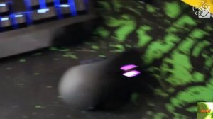 RYTP ДИМА ВАЙПЕР | Dima Viper