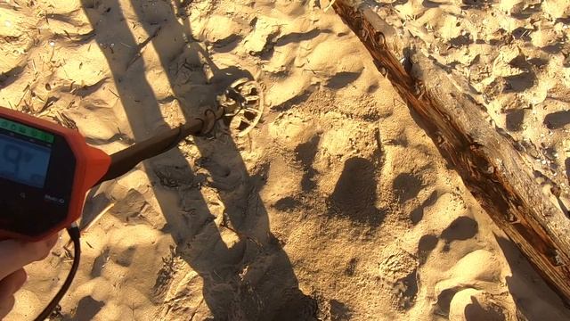 Minelab Vanquish - 440 First Beach Metal Detecting смотреть онлайн