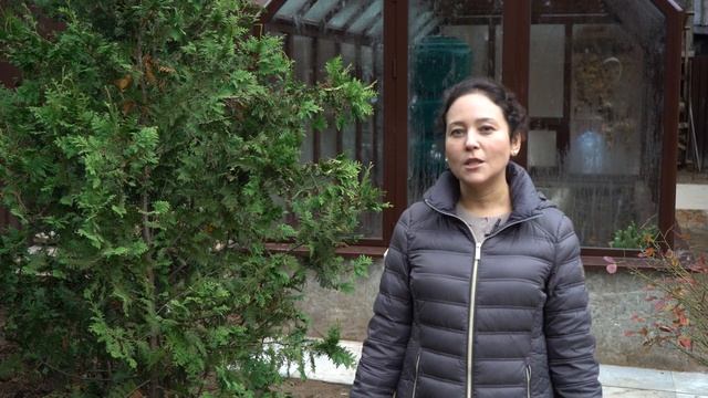 Резеда Зиганшина рассказывает о своей тепличке смотреть онлайн