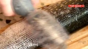 Рыбочистка