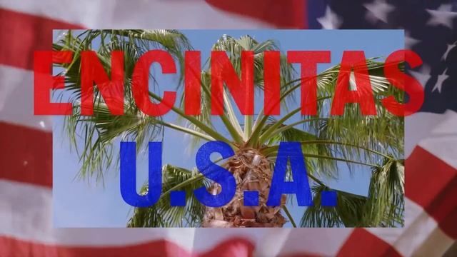 Vanguards  Style Creativity and Skateboarding Their Own Way  VANS