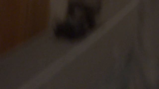 Faller Car System, Busch US Army Truck смотреть онлайн