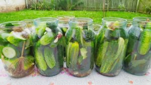 🥒🌶️🌿Универсальный рецепт маринованных огурцов💯Любой размер огурцов, любой размер банок🌿
