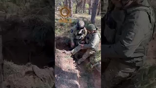 Смотреть видео онлайн