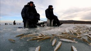 Корюшка на Песчаном. Северная бухта. Декабрь 2021. Часть 1