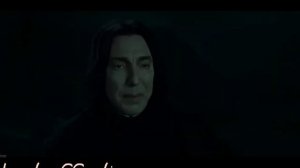 Северус Снейп "Маленький принц"|клип| /читайте описание/