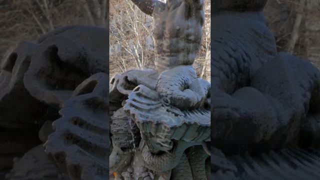 Vertical video. Triton fountain, Piazza Barberini. Rome, Italy - February 18, 2015