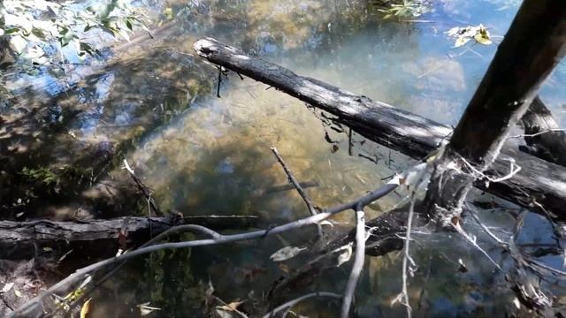 Когда-то полноводная, с песчаными пляжами, а ныне обмелевшая и заросшая река детства Мокрая Панда. смотреть онлайн