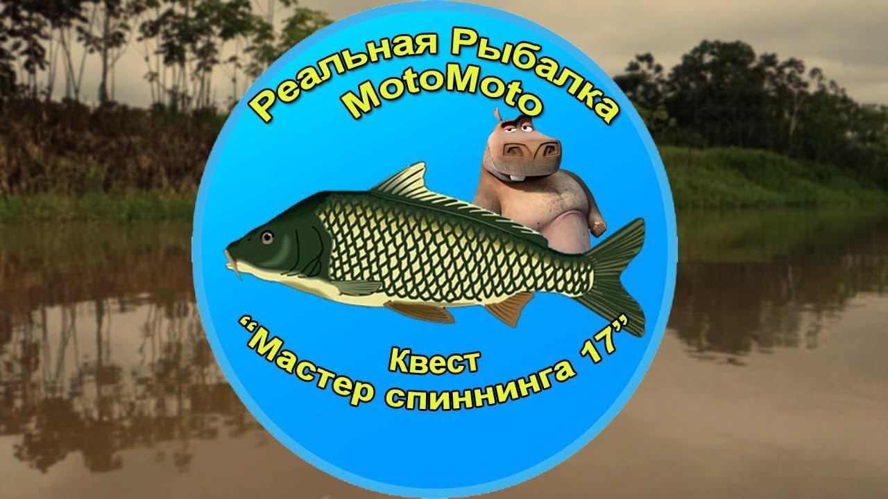 Квест 