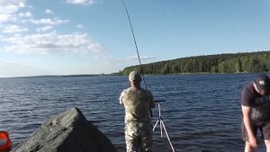 Рыбалка на Белоярке летом. Клюют килограммовые лещи.