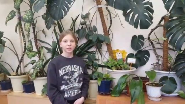 Рассказ о комнатных растениях смотреть онлайн