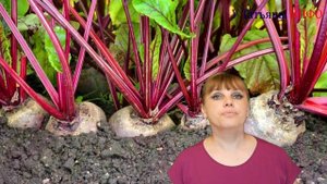 Поведаю ВАМ огородные ХИТРОСТИ! В помощь огородникам – полезно знать!