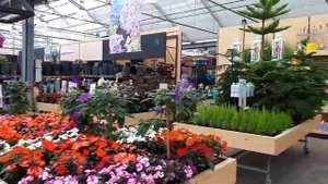 Цветочный магазин в Германии.