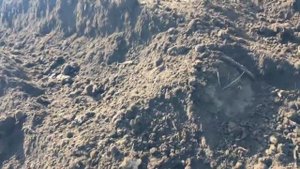 Погрузка Земли на самосвале зил 5 кубов