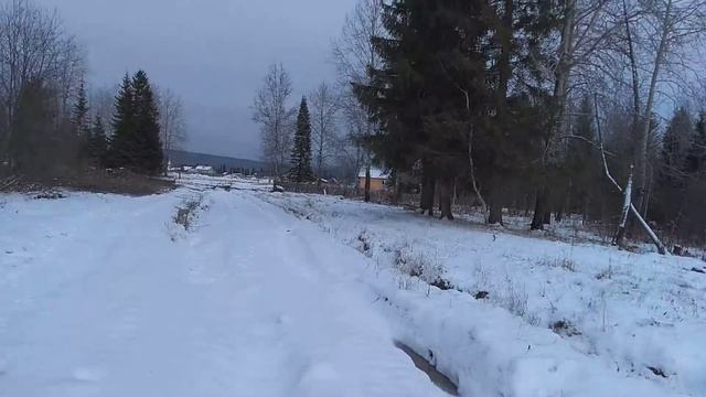 Т-40, участок, ИЖС, делянка, осина дрова, телега трактор, лтз-60, мтз-82, мтз-952, их тут нет, смотреть онлайн